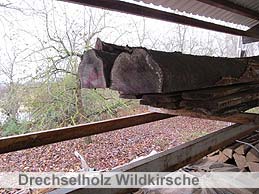 brennholz-kuss Eichenholz