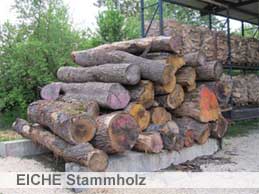 brennholz-kuss Eichenholz
