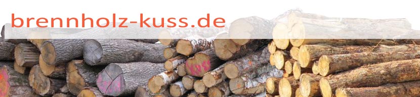 brennholz-kuss Head