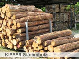 brennholz-kuss Kieferholz