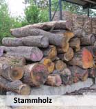 brennholz-kuss Stammholz